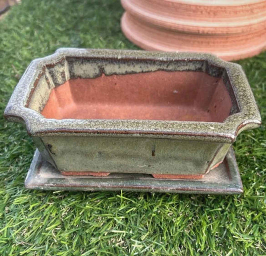 Vaso bonsai con sottovaso