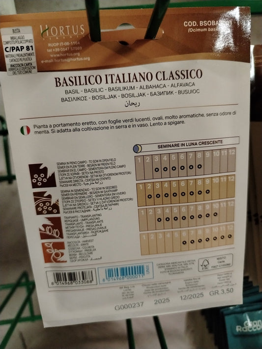 Basilico italiano classico - ValmaflorValmaflorValmaflorBasilico italiano classico - ValmaflorValmaflorValmaflorBasilico italiano classico