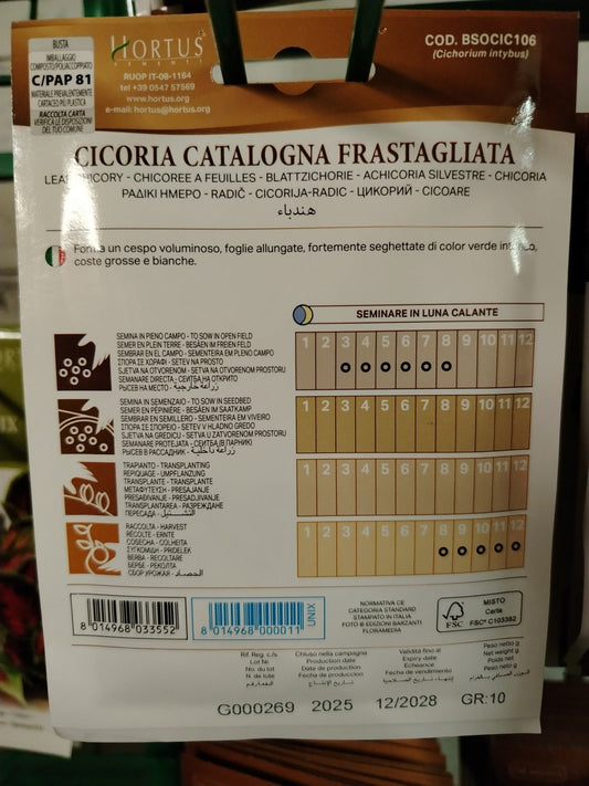 Cicoria catalogna frastagliata - Valmaflor#ValmaflorValmaflorCicoria catalogna frastagliata