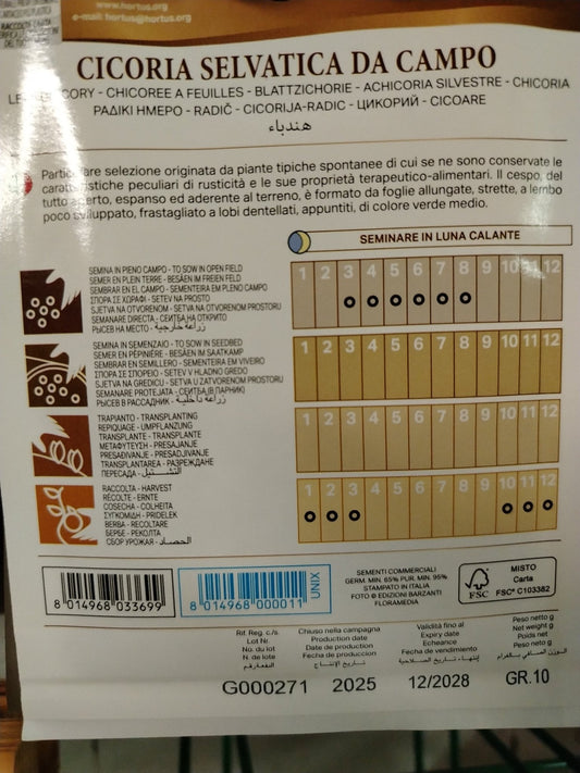 Cicoria selvatica da campo - ValmaflorValmaflorValmaflorCicoria selvatica da campo - ValmaflorValmaflorValmaflorCicoria selvatica da campo