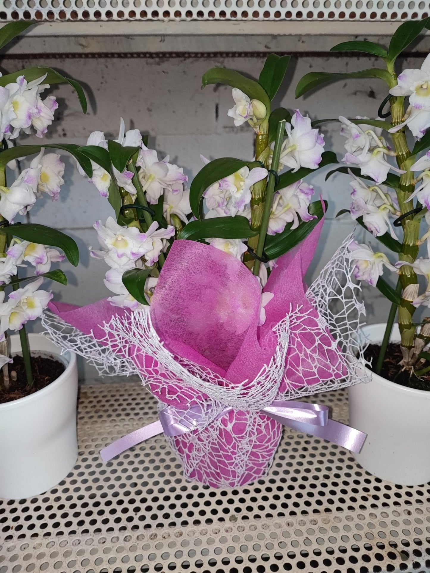 Confezione regalo - ValmaflorValmaflorValmaflorConfezione regalo - ValmaflorValmaflorValmaflorConfezione regalo