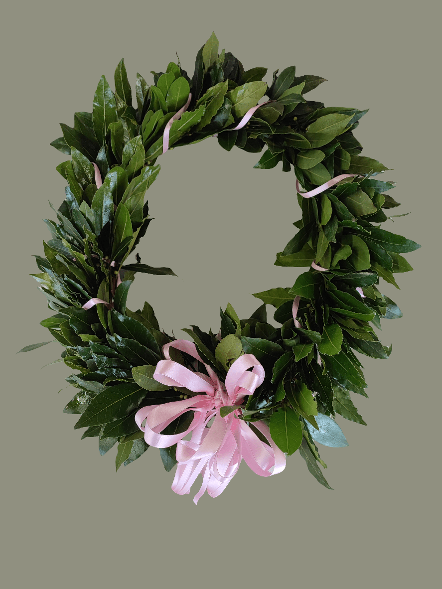 Corona di laurea magistrale - ValmaflorValmaflorValmaflorCorona di laurea magistrale - ValmaflorValmaflorValmaflorCorona di laurea magistrale - ValmaflorValmaflorValmaflorCorona di laurea magistrale