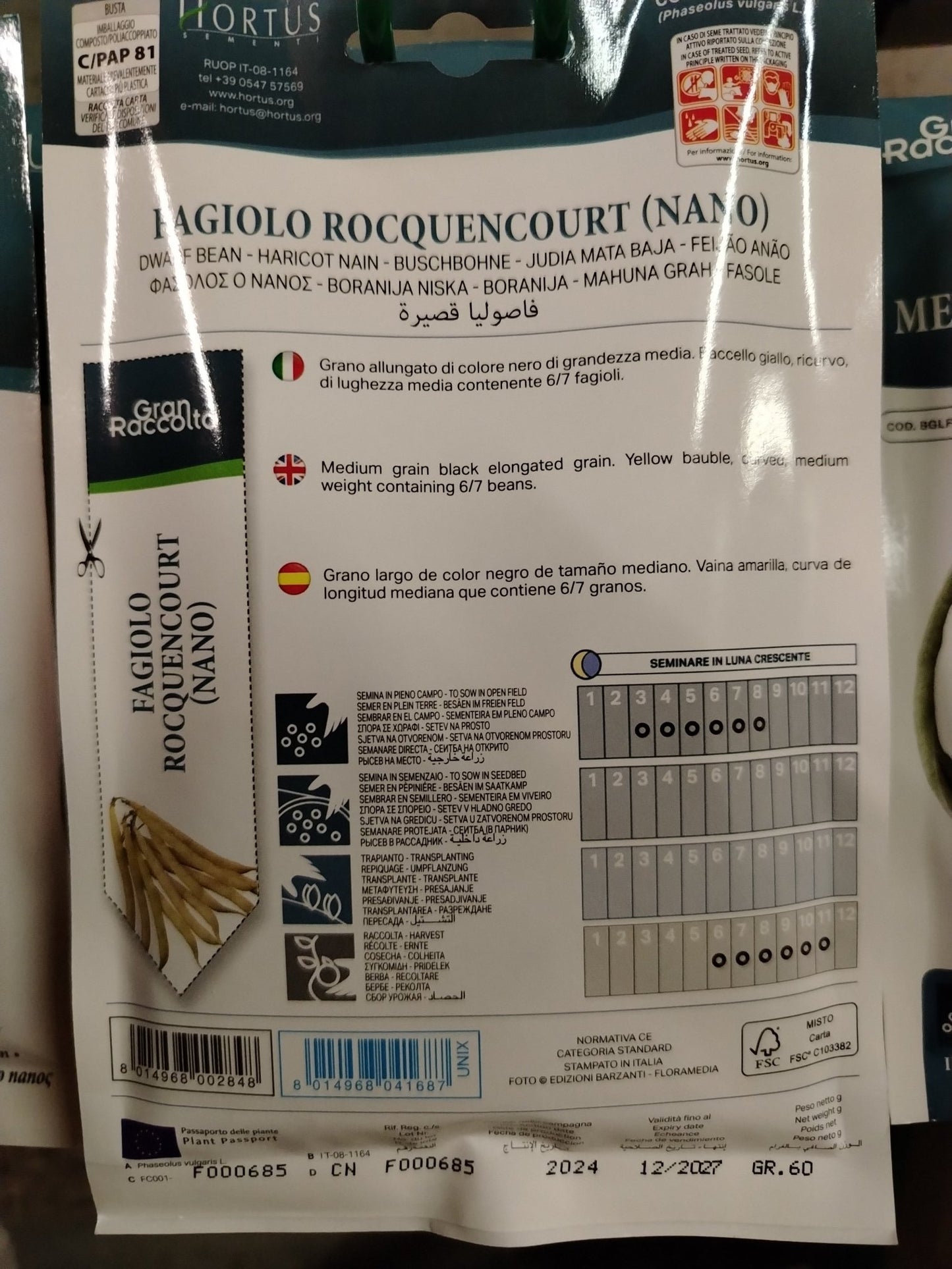 Fagiolo rocquencourt (nano) - Valmaflor#ValmaflorValmaflorFagiolo rocquencourt (nano)