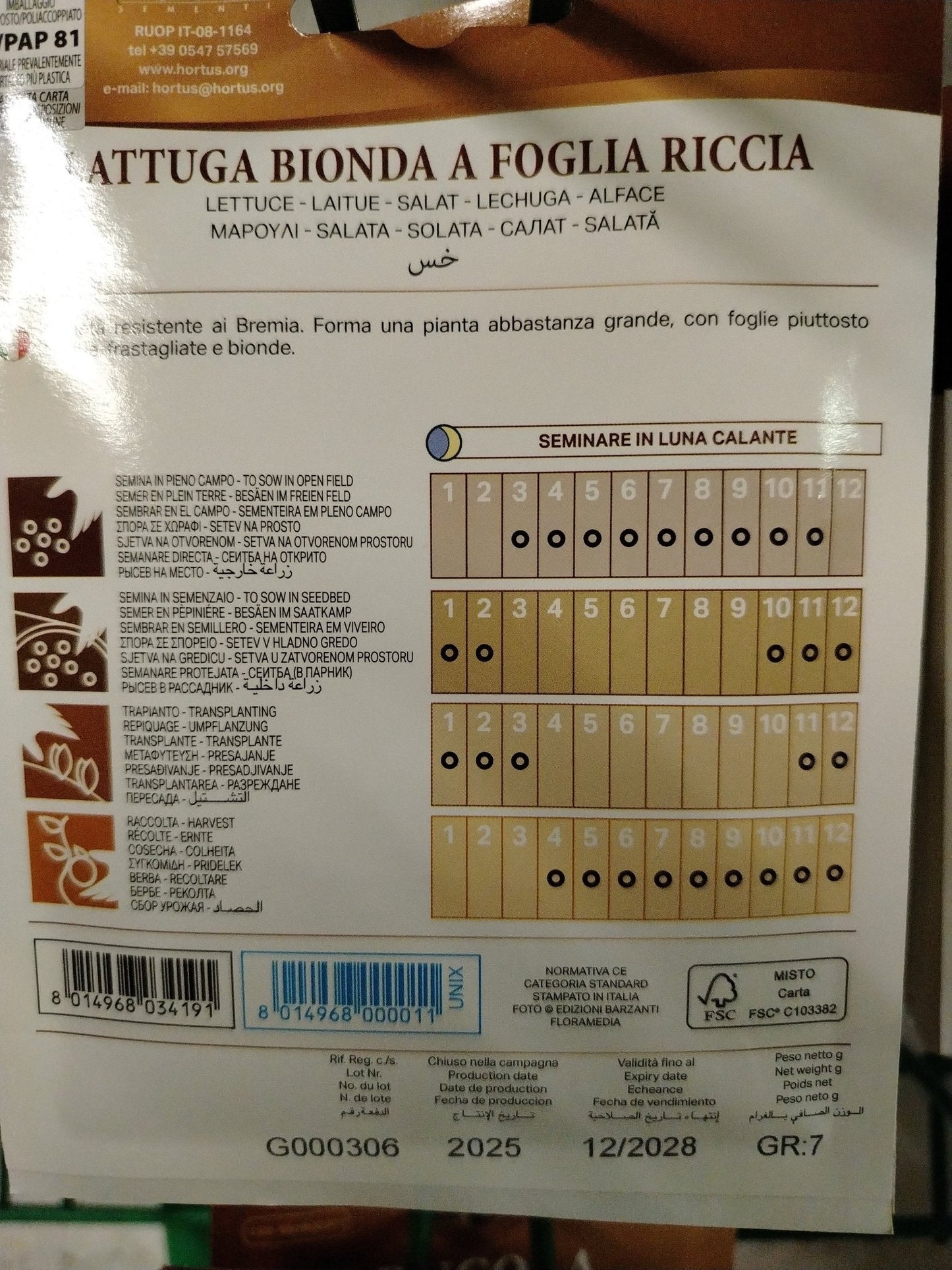 Lattuga bionda a foglia riccia - ValmaflorValmaflorValmaflorLattuga bionda a foglia riccia - ValmaflorValmaflorValmaflorLattuga bionda a foglia riccia