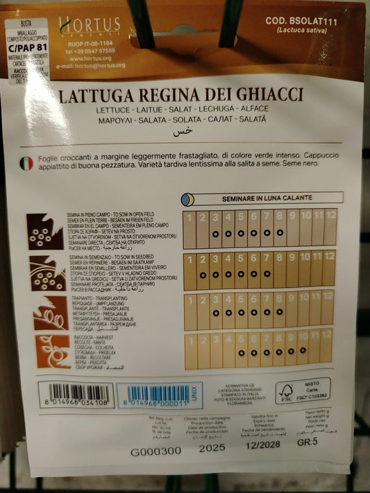 Lattuga regina dei ghiacci - Valmaflor#ValmaflorValmaflorLattuga regina dei ghiacci