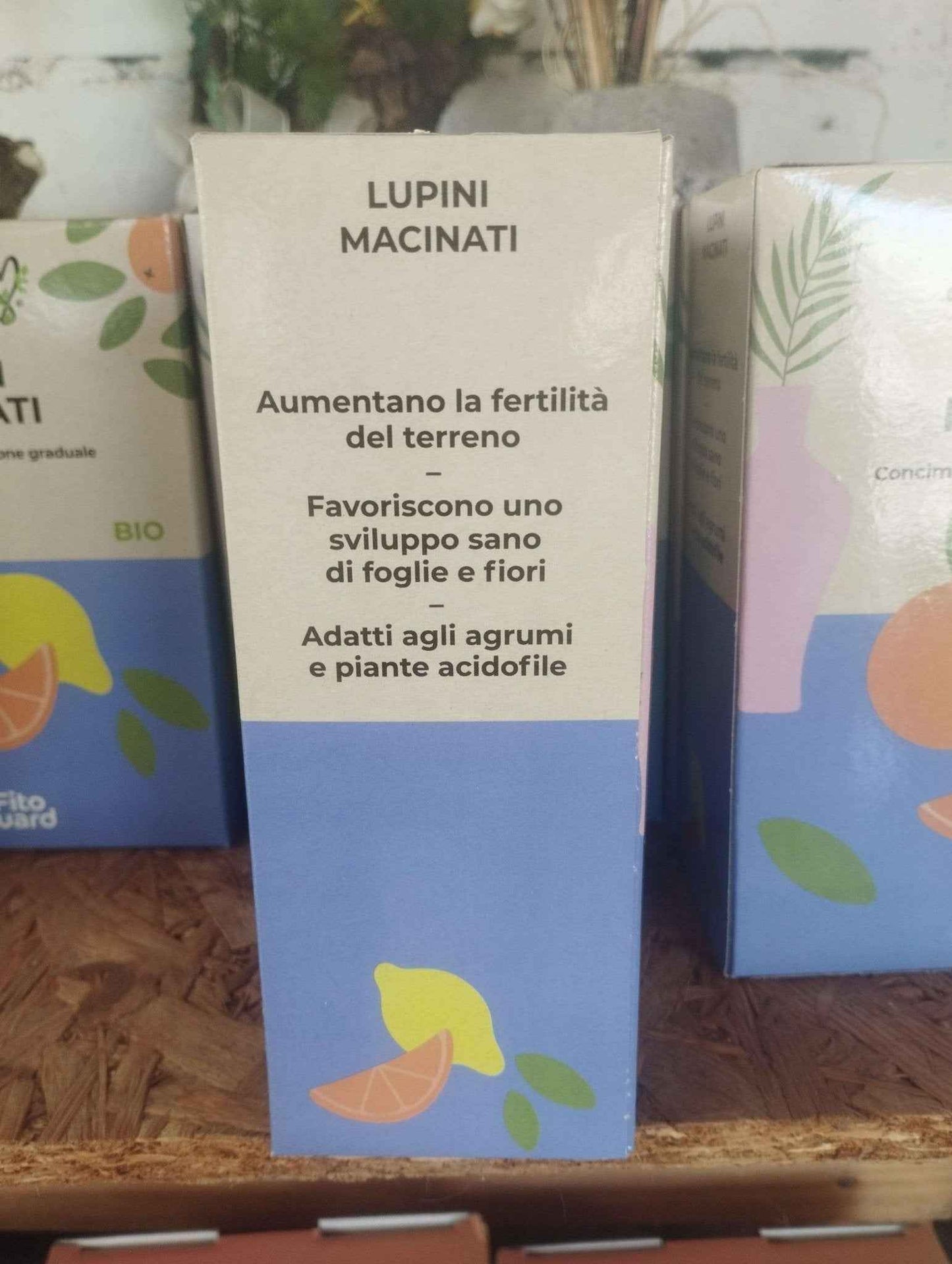 Lupini macinati