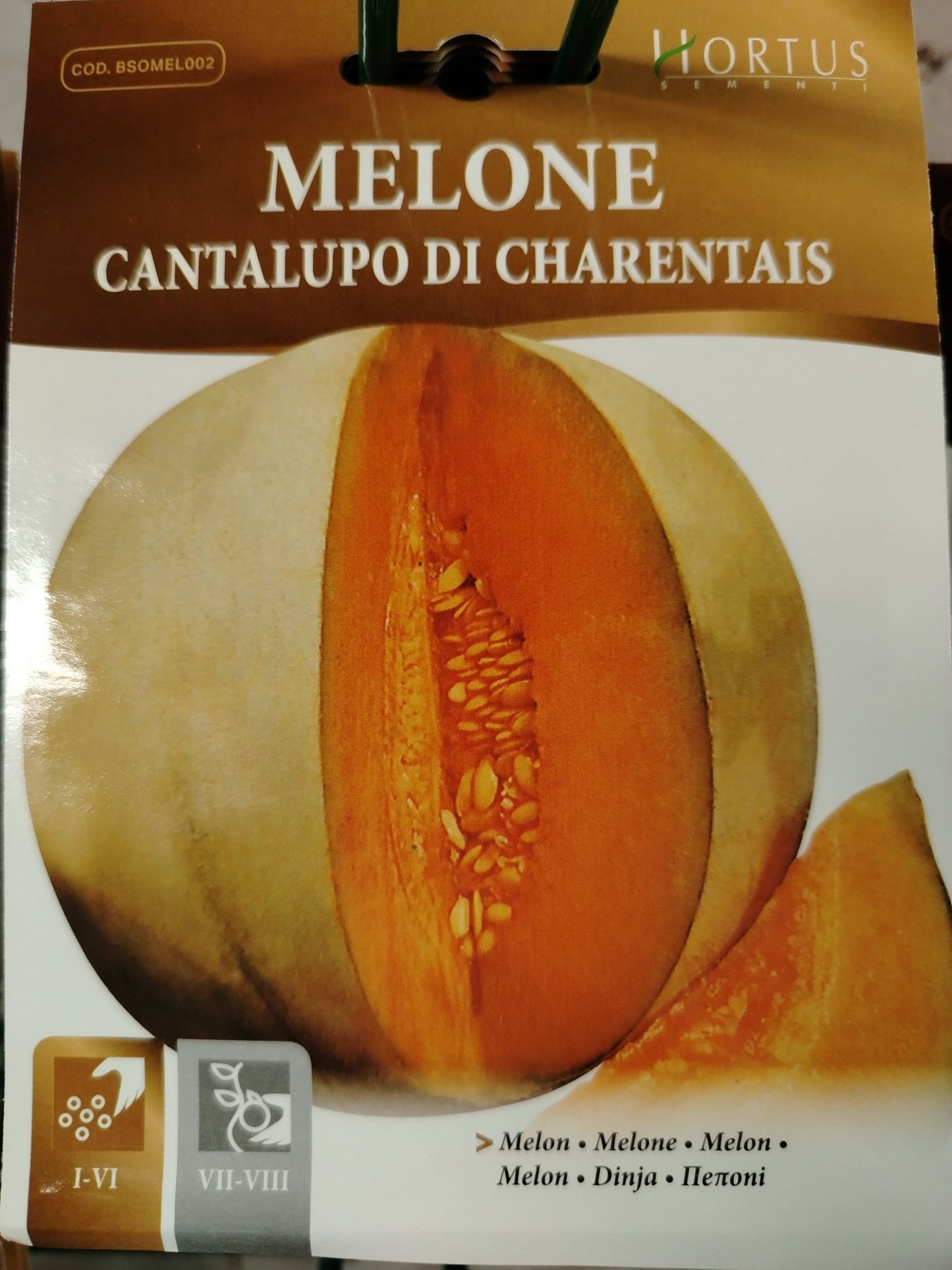 Melone cantalupo di charentais - Valmaflor#ValmaflorValmaflorMelone cantalupo di charentais