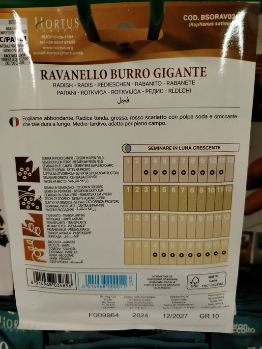 Ravanello burro gigante - ValmaflorValmaflorValmaflorRavanello burro gigante - ValmaflorValmaflorValmaflorRavanello burro gigante