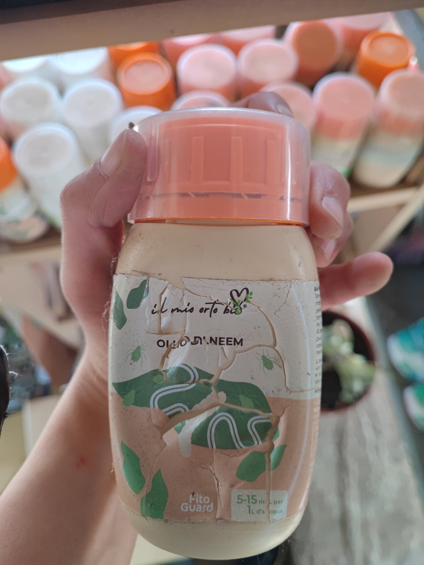 Olio di neem
