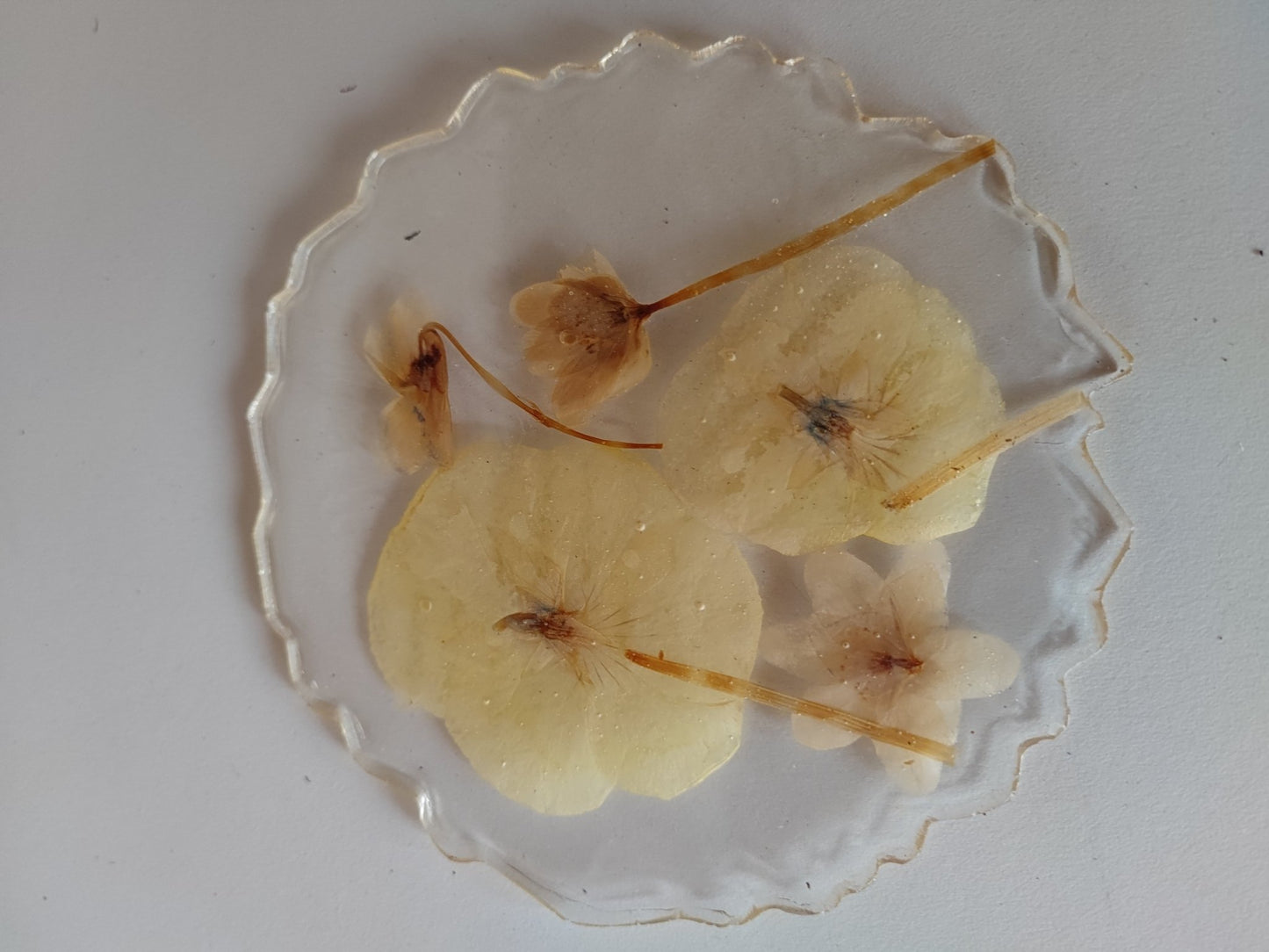 Sottobottiglia in resina - Valmaflor#ValmaflorValmaflorSottobottiglia in resina