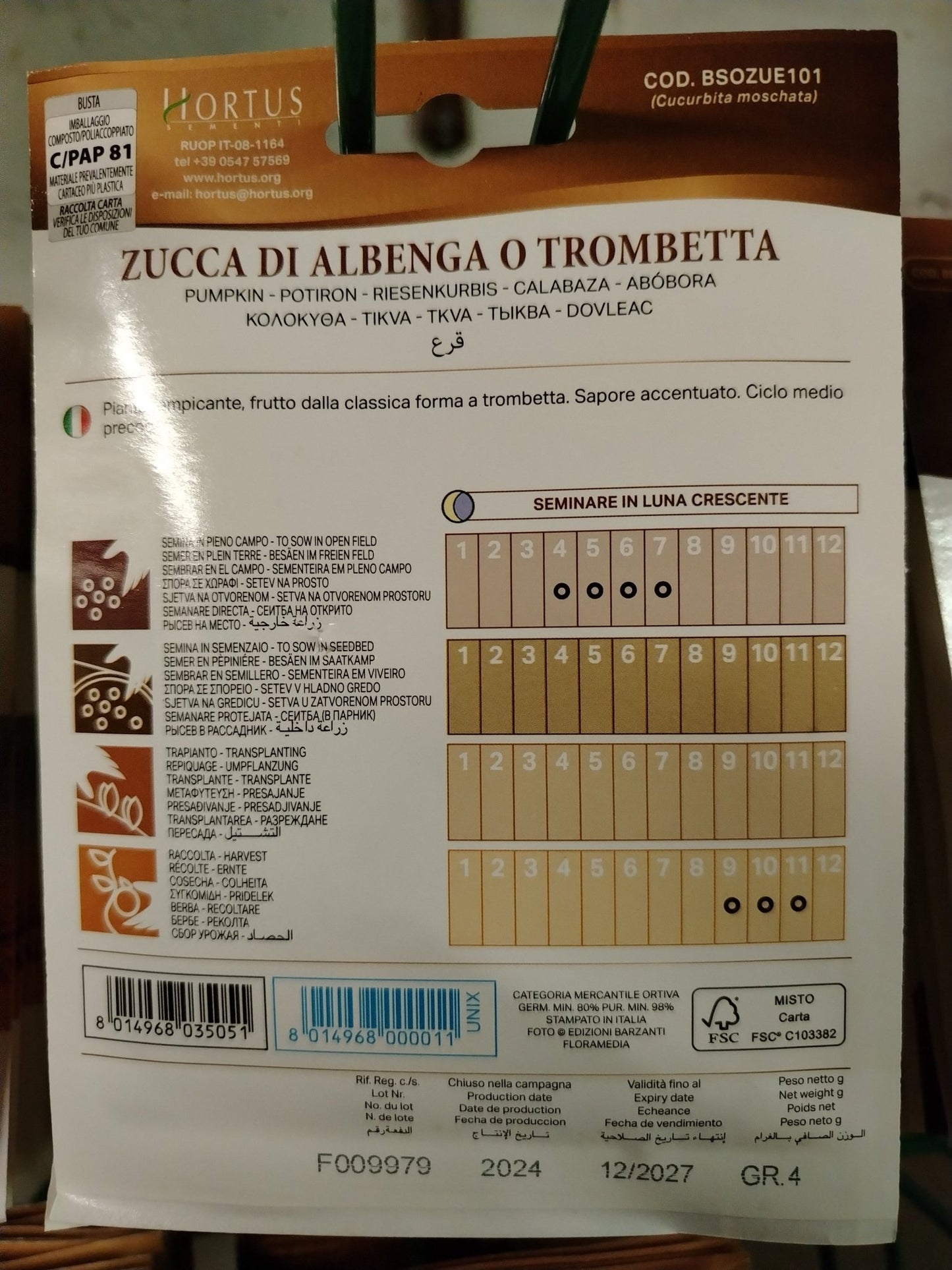 Zucca di Albenga o trombetta - Valmaflor#ValmaflorValmaflorZucca di Albenga o trombetta