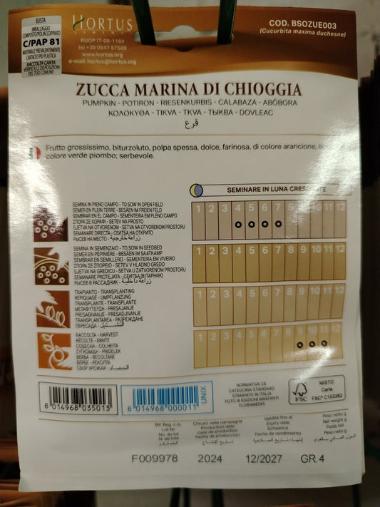 Zucca marina di chioggia - Valmaflor#ValmaflorValmaflorZucca marina di chioggia