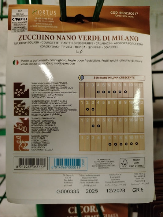 Zucchino nano verde di milano - ValmaflorValmaflorValmaflorZucchino nano verde di milano - ValmaflorValmaflorValmaflorZucchino nano verde di milano