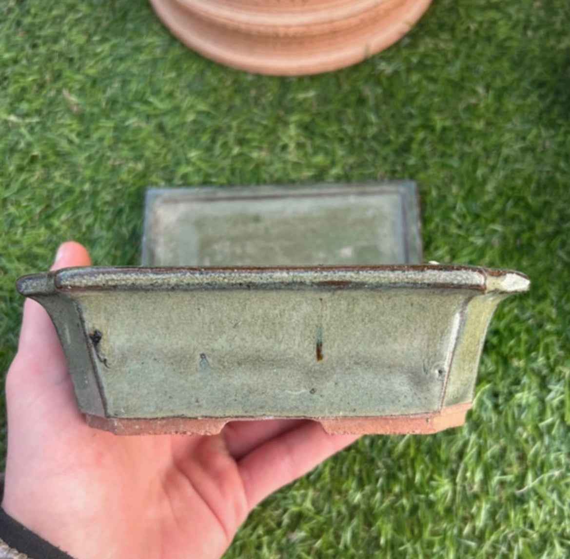 Vaso bonsai con sottovaso