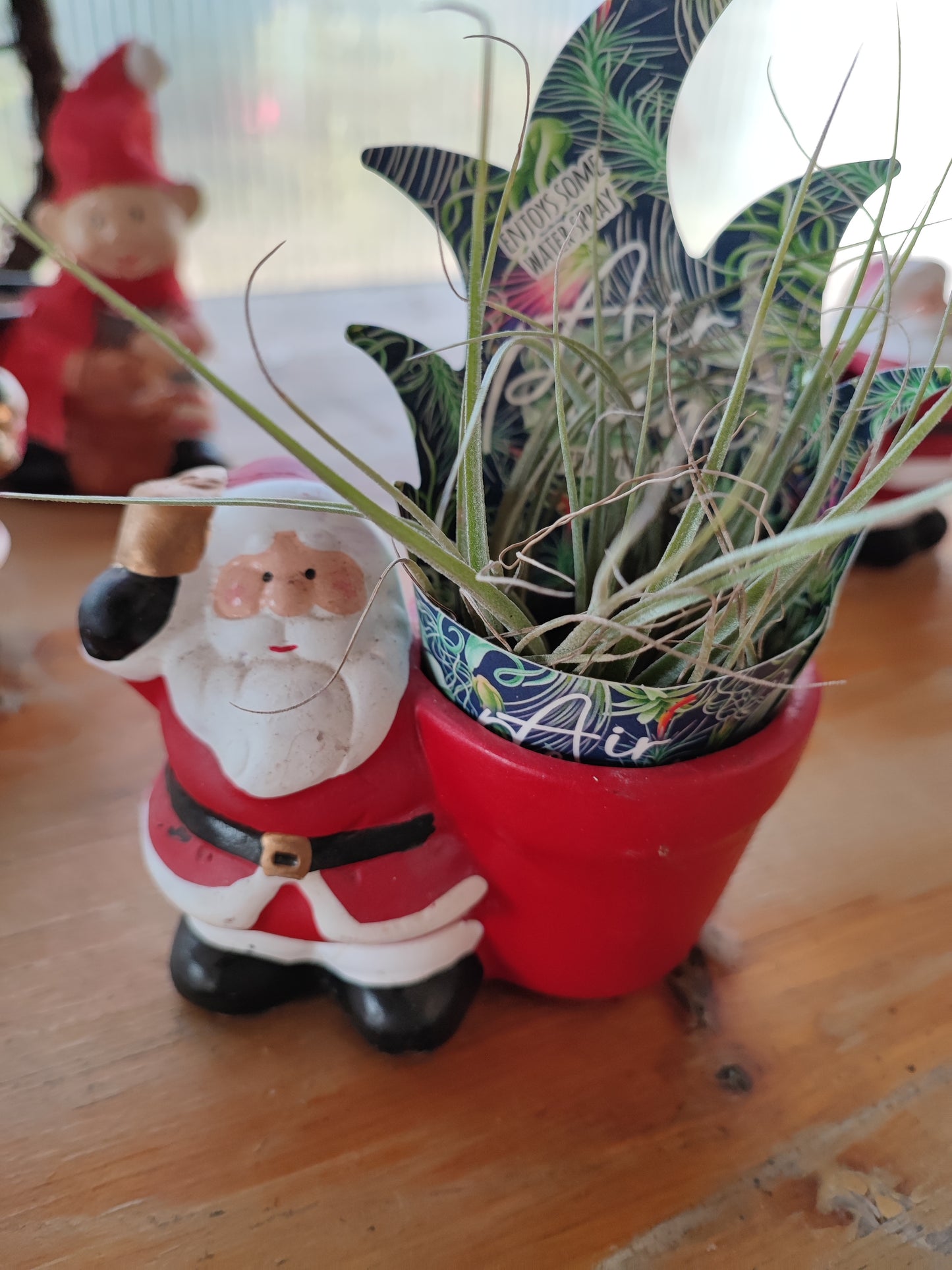 Decorazione babbo natale con tillandsia