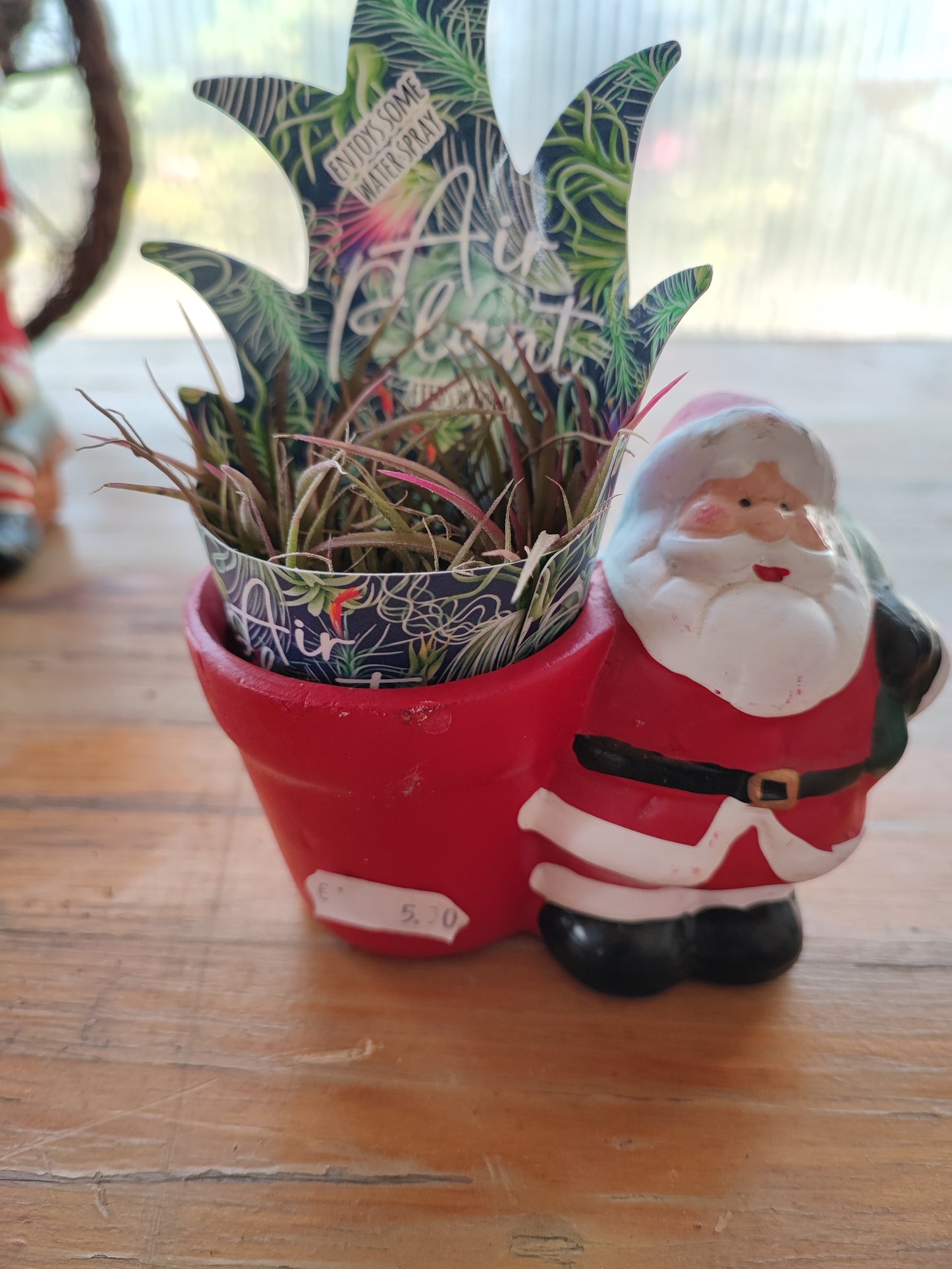 Decorazione babbo natale con tillandsia