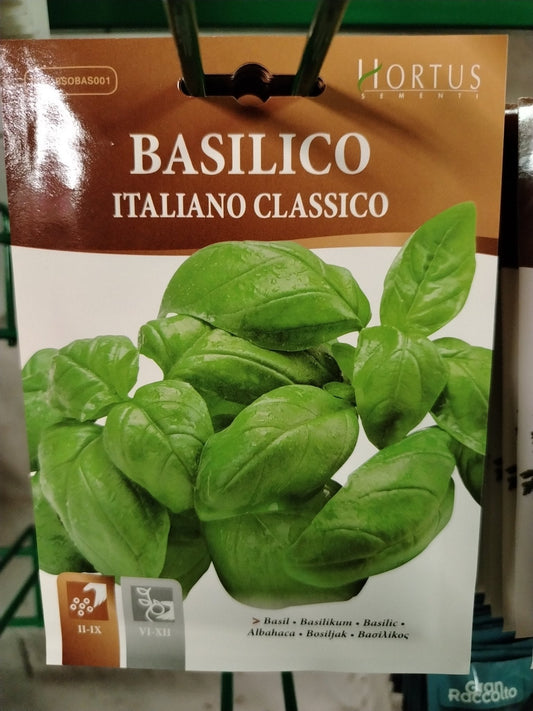 Basilico italiano classico - ValmaflorValmaflorValmaflorBasilico italiano classico - ValmaflorValmaflorValmaflorBasilico italiano classico