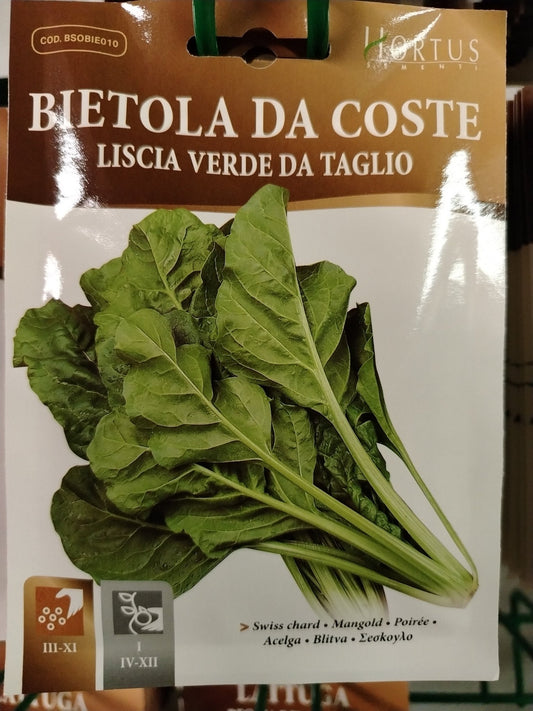 Bietola da coste liscia verde da taglio - ValmaflorValmaflorValmaflorBietola da coste liscia verde da taglio - ValmaflorValmaflorValmaflorBietola da coste liscia verde da taglio