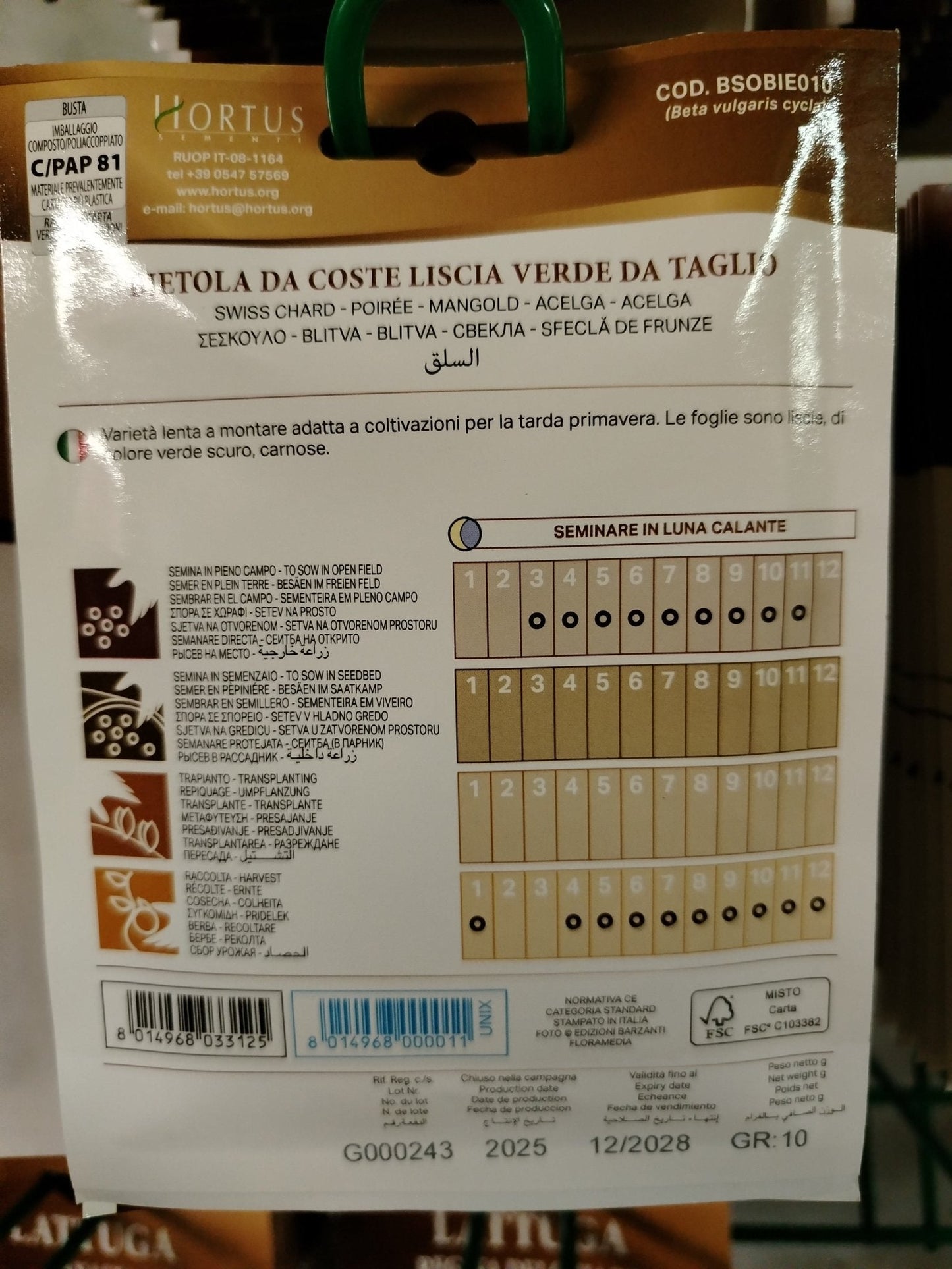 Bietola da coste liscia verde da taglio - ValmaflorValmaflorValmaflorBietola da coste liscia verde da taglio - ValmaflorValmaflorValmaflorBietola da coste liscia verde da taglio