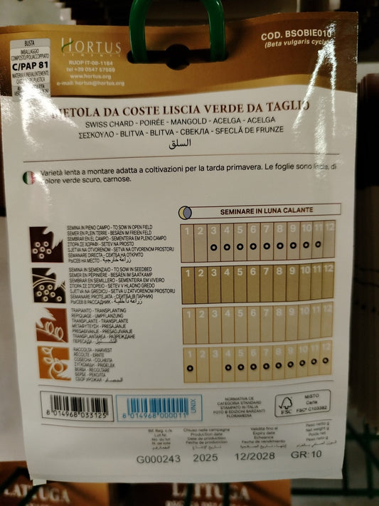 Bietola da coste liscia verde da taglio - ValmaflorValmaflorValmaflorBietola da coste liscia verde da taglio - ValmaflorValmaflorValmaflorBietola da coste liscia verde da taglio