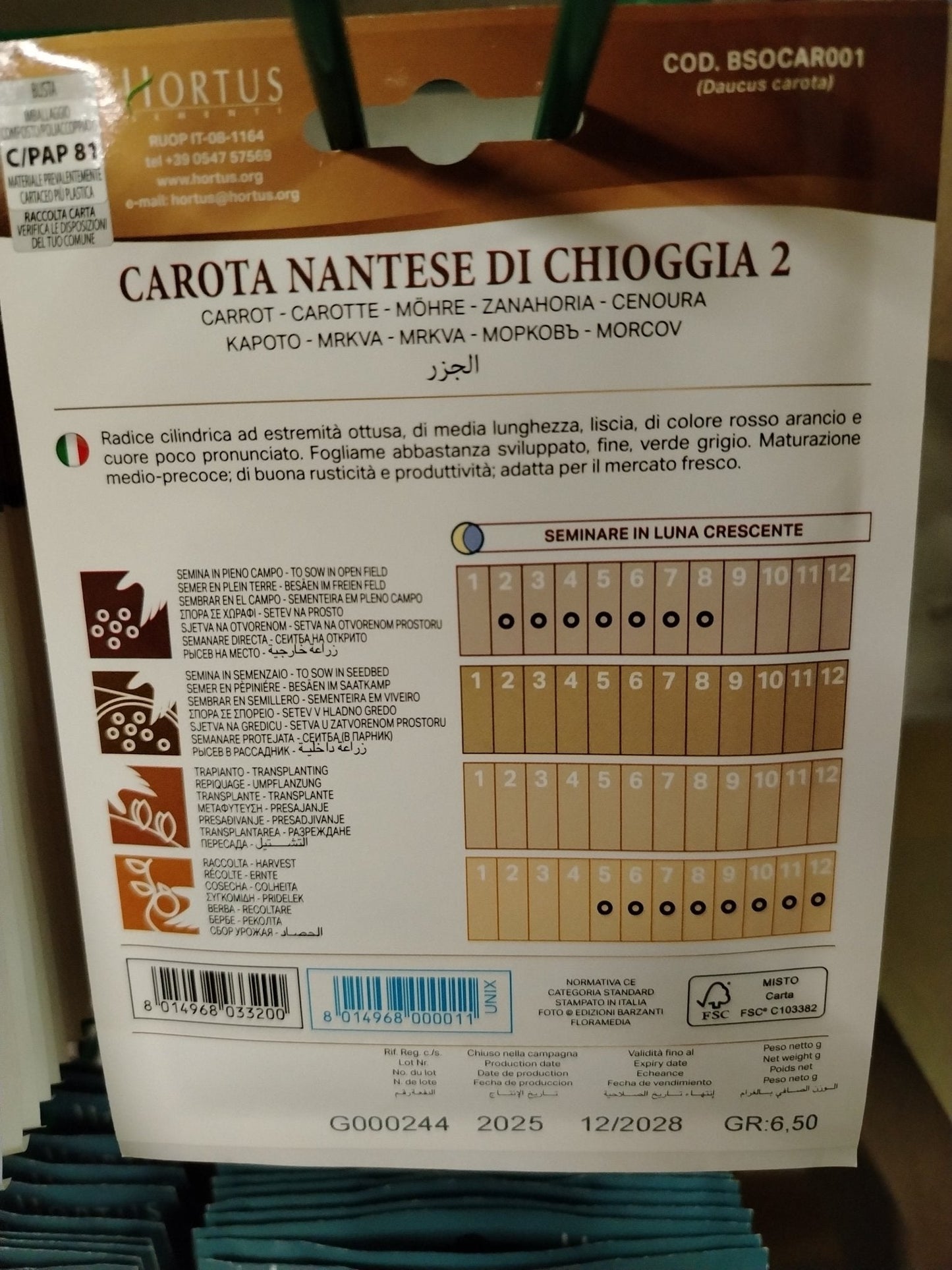 Carota nantese di Chioggia 2 - ValmaflorValmaflorValmaflorCarota nantese di Chioggia 2 - ValmaflorValmaflorValmaflorCarota nantese di Chioggia 2