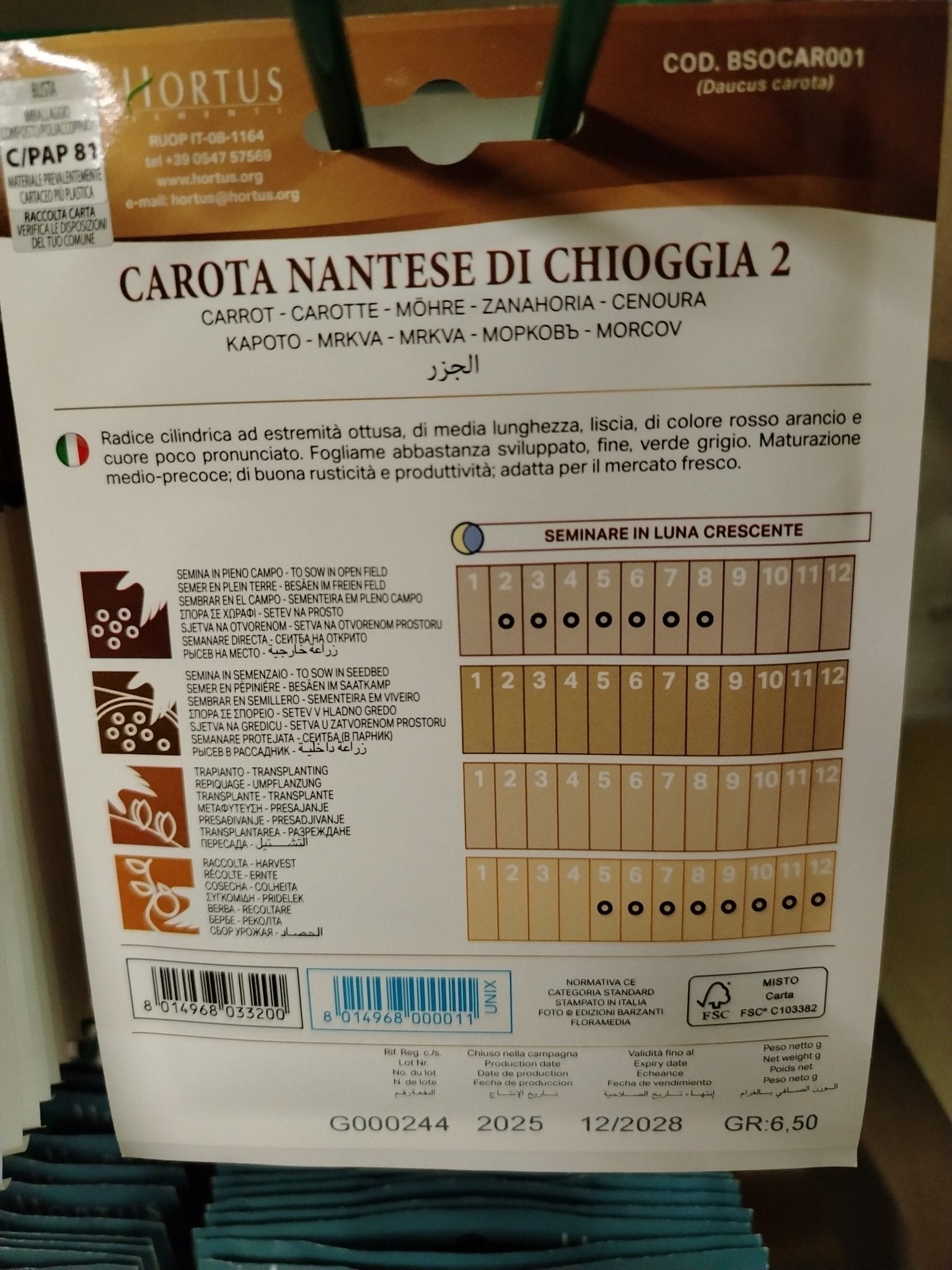Carota nantese di Chioggia 2 - ValmaflorValmaflorValmaflorCarota nantese di Chioggia 2 - ValmaflorValmaflorValmaflorCarota nantese di Chioggia 2
