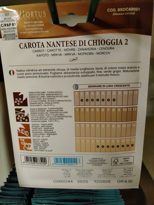 Carota nantese di Chioggia 2 - ValmaflorValmaflorValmaflorCarota nantese di Chioggia 2 - ValmaflorValmaflorValmaflorCarota nantese di Chioggia 2