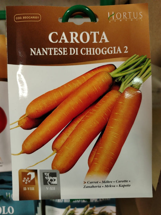 Carota nantese di Chioggia 2 - ValmaflorValmaflorValmaflorCarota nantese di Chioggia 2 - ValmaflorValmaflorValmaflorCarota nantese di Chioggia 2