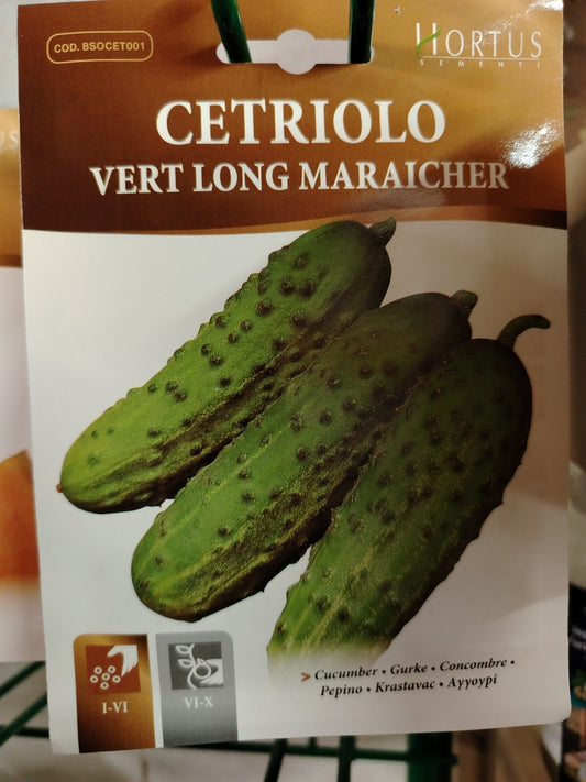 Cetriolo vert long maraicher - ValmaflorValmaflorValmaflorCetriolo vert long maraicher - ValmaflorValmaflorValmaflorCetriolo vert long maraicher