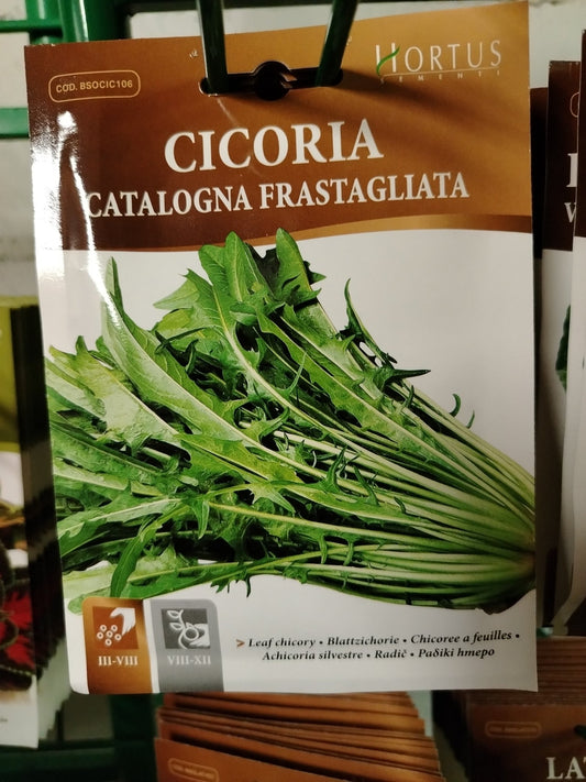 Cicoria catalogna frastagliata - Valmaflor#ValmaflorValmaflorCicoria catalogna frastagliata