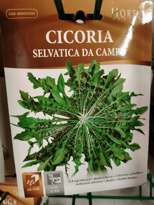 Cicoria selvatica da campo - ValmaflorValmaflorValmaflorCicoria selvatica da campo - ValmaflorValmaflorValmaflorCicoria selvatica da campo