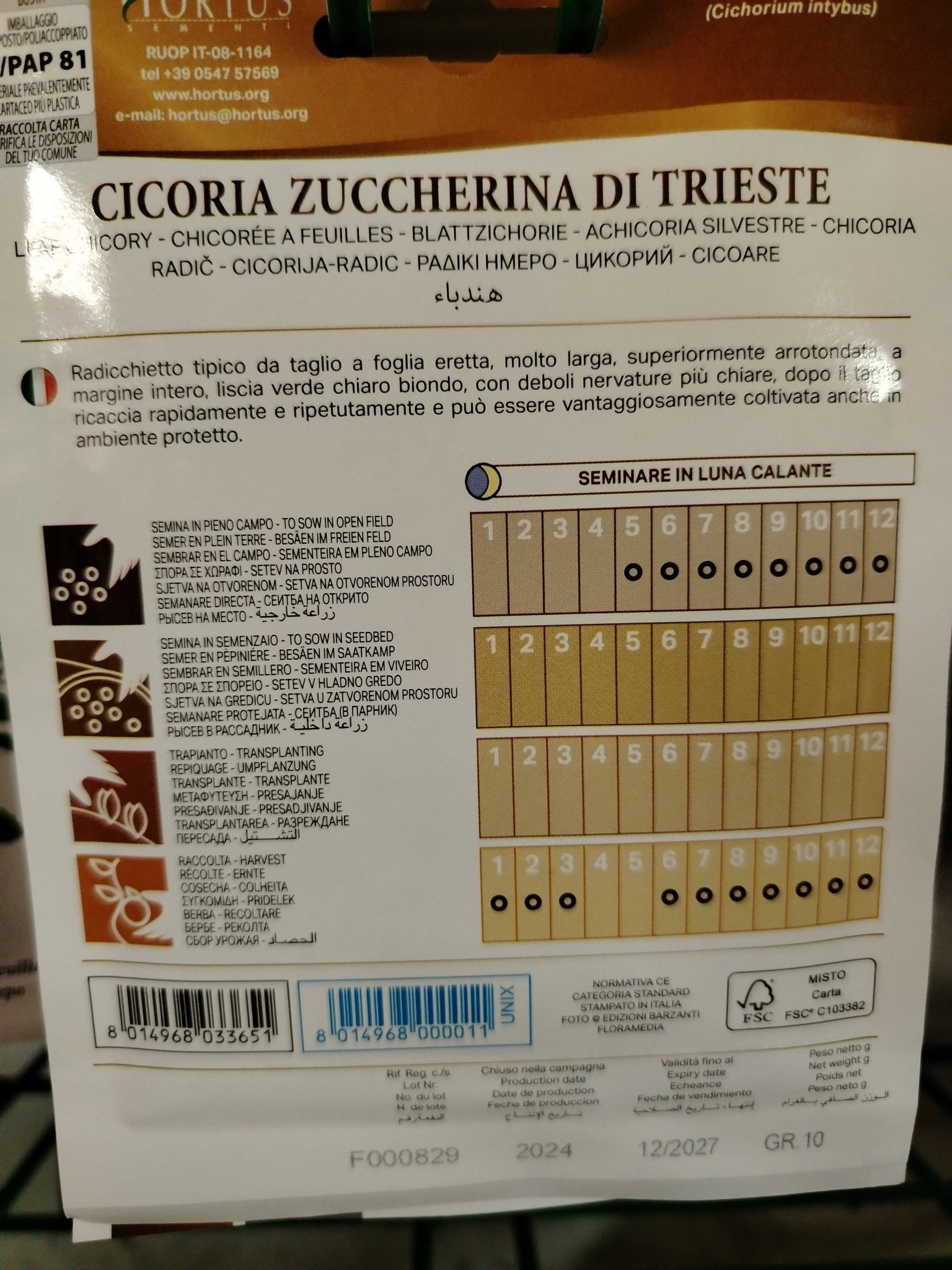 Cicoria zuccherina di trieste - ValmaflorValmaflorValmaflorCicoria zuccherina di trieste - ValmaflorValmaflorValmaflorCicoria zuccherina di trieste