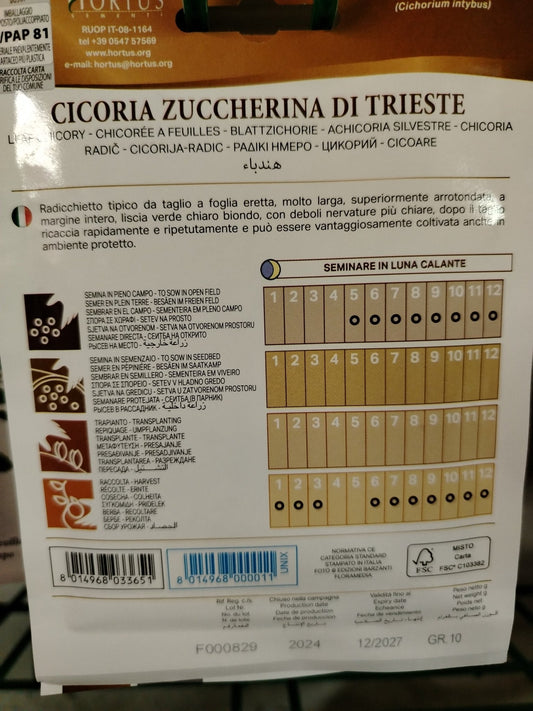 Cicoria zuccherina di trieste - ValmaflorValmaflorValmaflorCicoria zuccherina di trieste - ValmaflorValmaflorValmaflorCicoria zuccherina di trieste