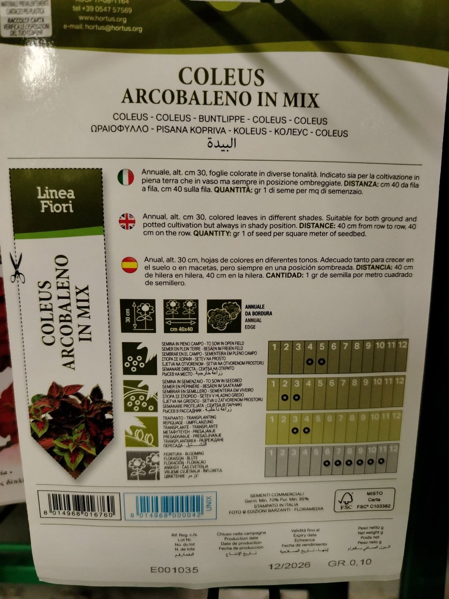 Coleus arcobaleno in mix - ValmaflorValmaflorValmaflorColeus arcobaleno in mix