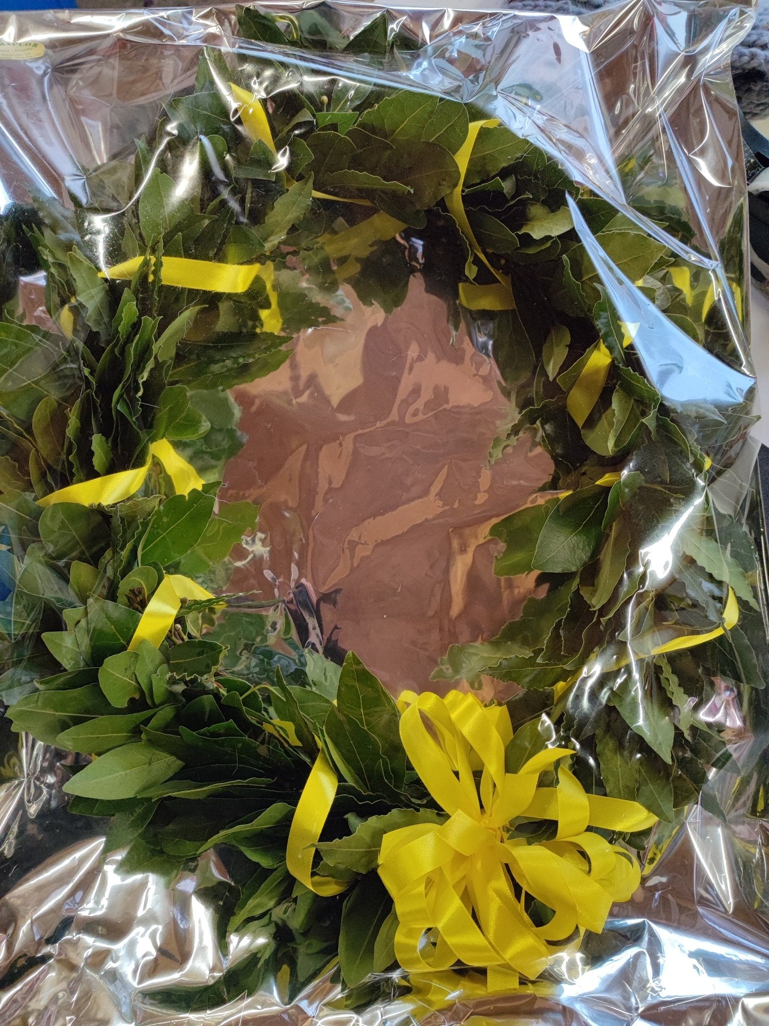 Corona di laurea magistrale - ValmaflorValmaflorValmaflorCorona di laurea magistrale - ValmaflorValmaflorValmaflorCorona di laurea magistrale - ValmaflorValmaflorValmaflorCorona di laurea magistrale