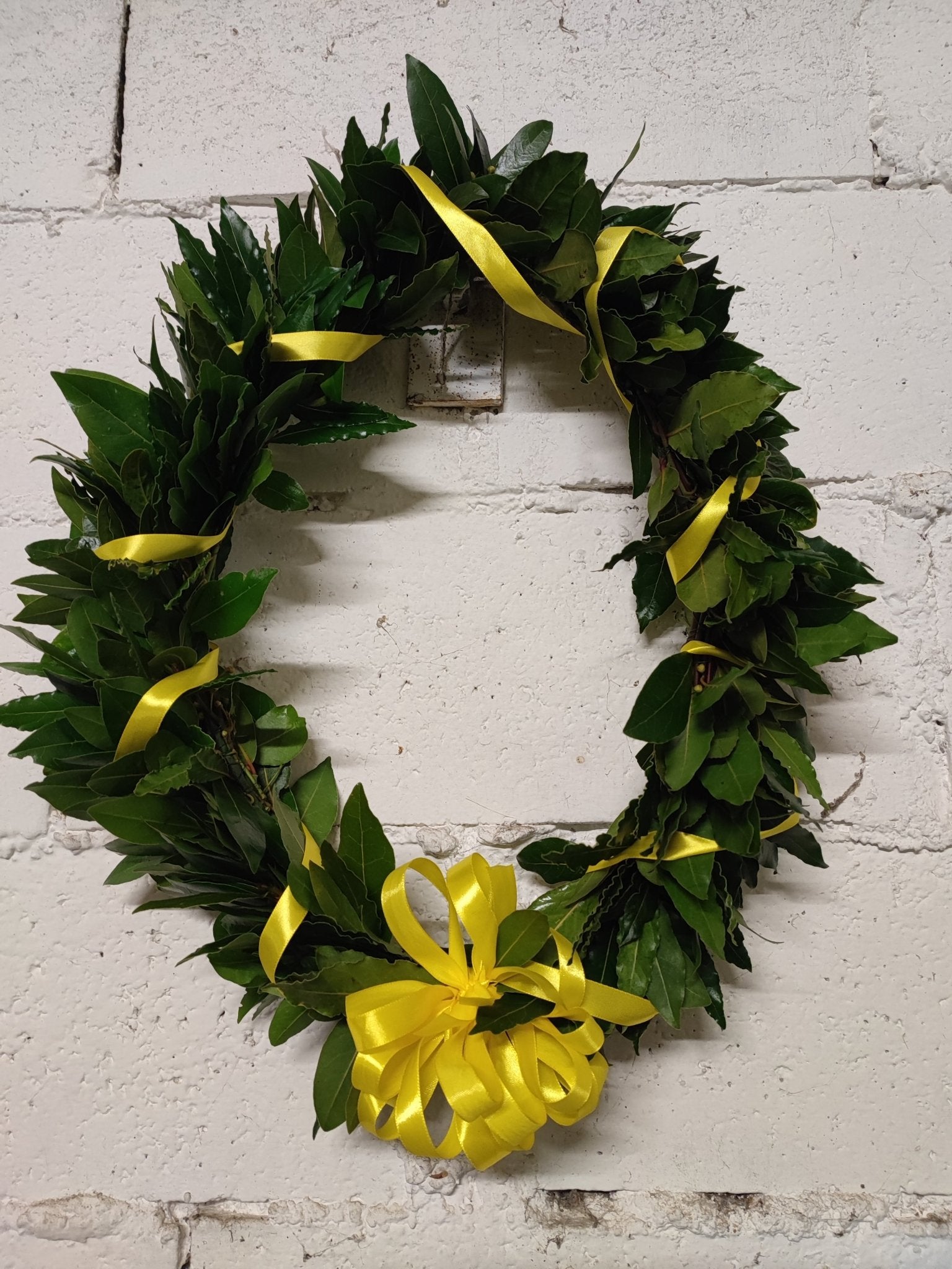 Corona di laurea magistrale - ValmaflorValmaflorValmaflorCorona di laurea magistrale - ValmaflorValmaflorValmaflorCorona di laurea magistrale - ValmaflorValmaflorValmaflorCorona di laurea magistrale