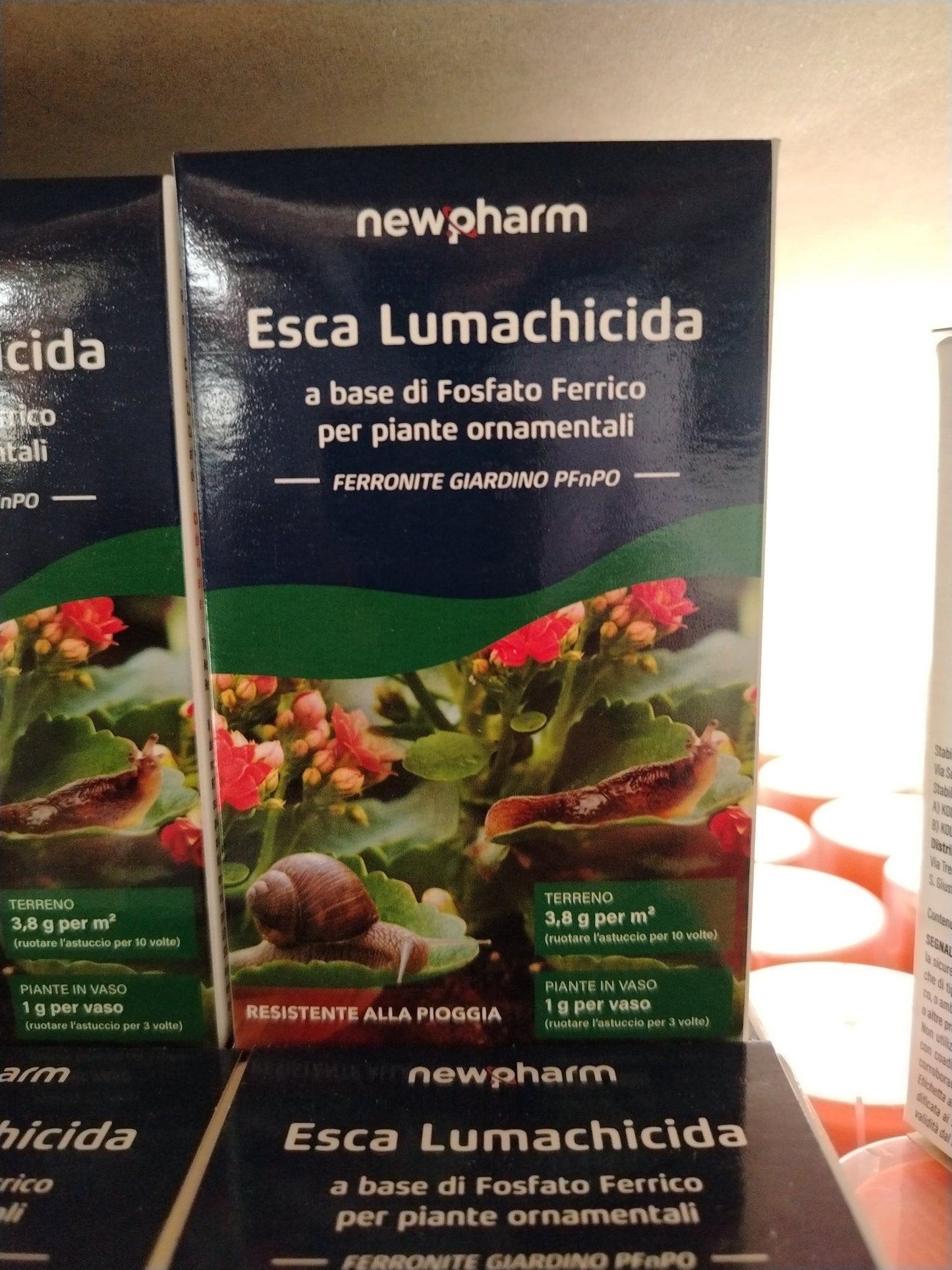 Esca lumachicida - ValmaflorValmaflorValmaflorEsca lumachicida - ValmaflorValmaflorValmaflorEsca lumachicida