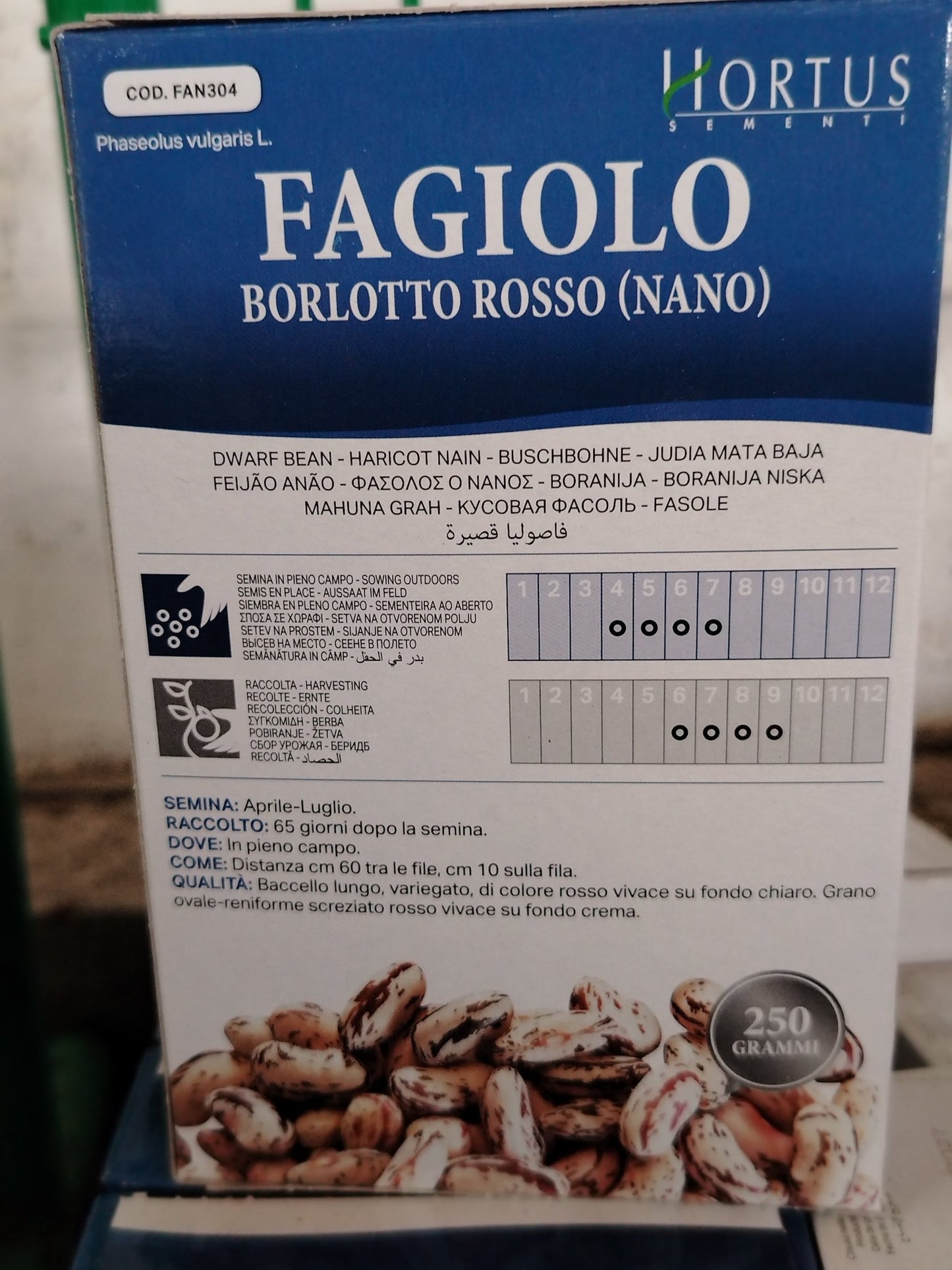 Fagiolo - ValmaflorValmaflorValmaflorFagioloBARLOTTO ROSSO (NANO)