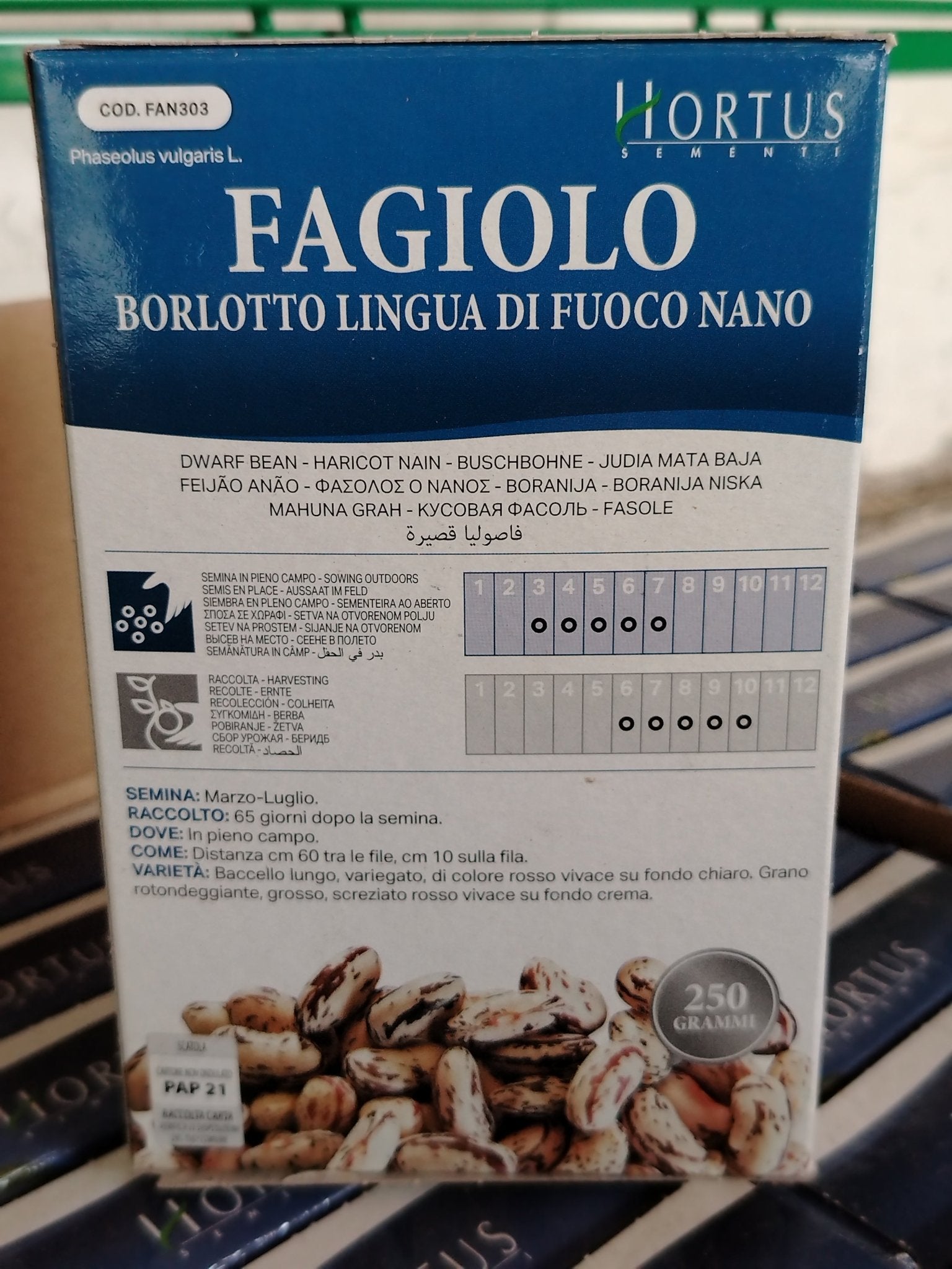 Fagiolo - ValmaflorValmaflorValmaflorFagioloBARLOTTO LINGUA DI FUOCO NANO
