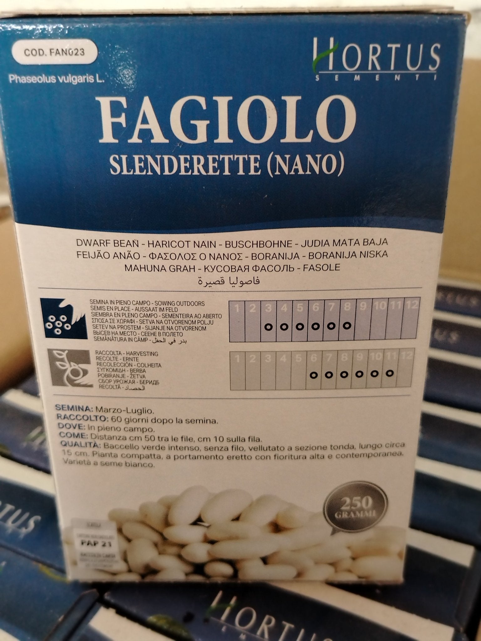 Fagiolo - ValmaflorValmaflorValmaflorFagioloBARLOTTO ROSSO (NANO)