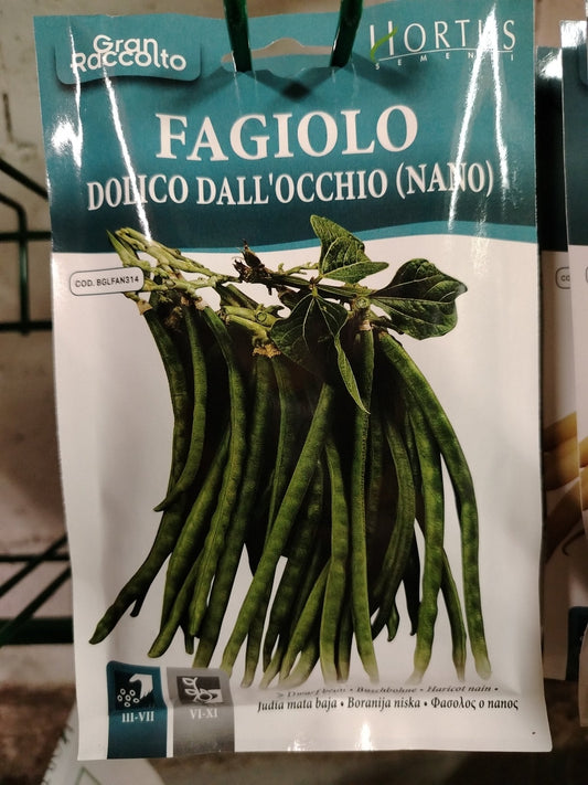 Fagiolo dolico dall'occhio (nano) - ValmaflorValmaflorValmaflorFagiolo dolico dall'occhio (nano) - ValmaflorValmaflorValmaflorFagiolo dolico dall'occhio (nano)