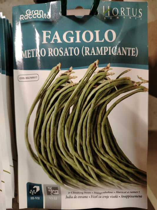Fagiolo metro rosato (rampicante) - ValmaflorValmaflorValmaflorFagiolo metro rosato (rampicante) - ValmaflorValmaflorValmaflorFagiolo metro rosato (rampicante)