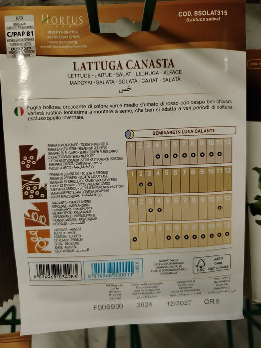 Lattuga canasta - ValmaflorValmaflorValmaflorLattuga canasta - ValmaflorValmaflorValmaflorLattuga canasta