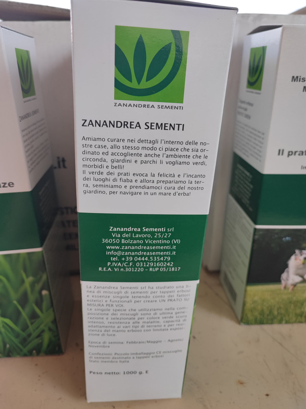 Sementi green dream