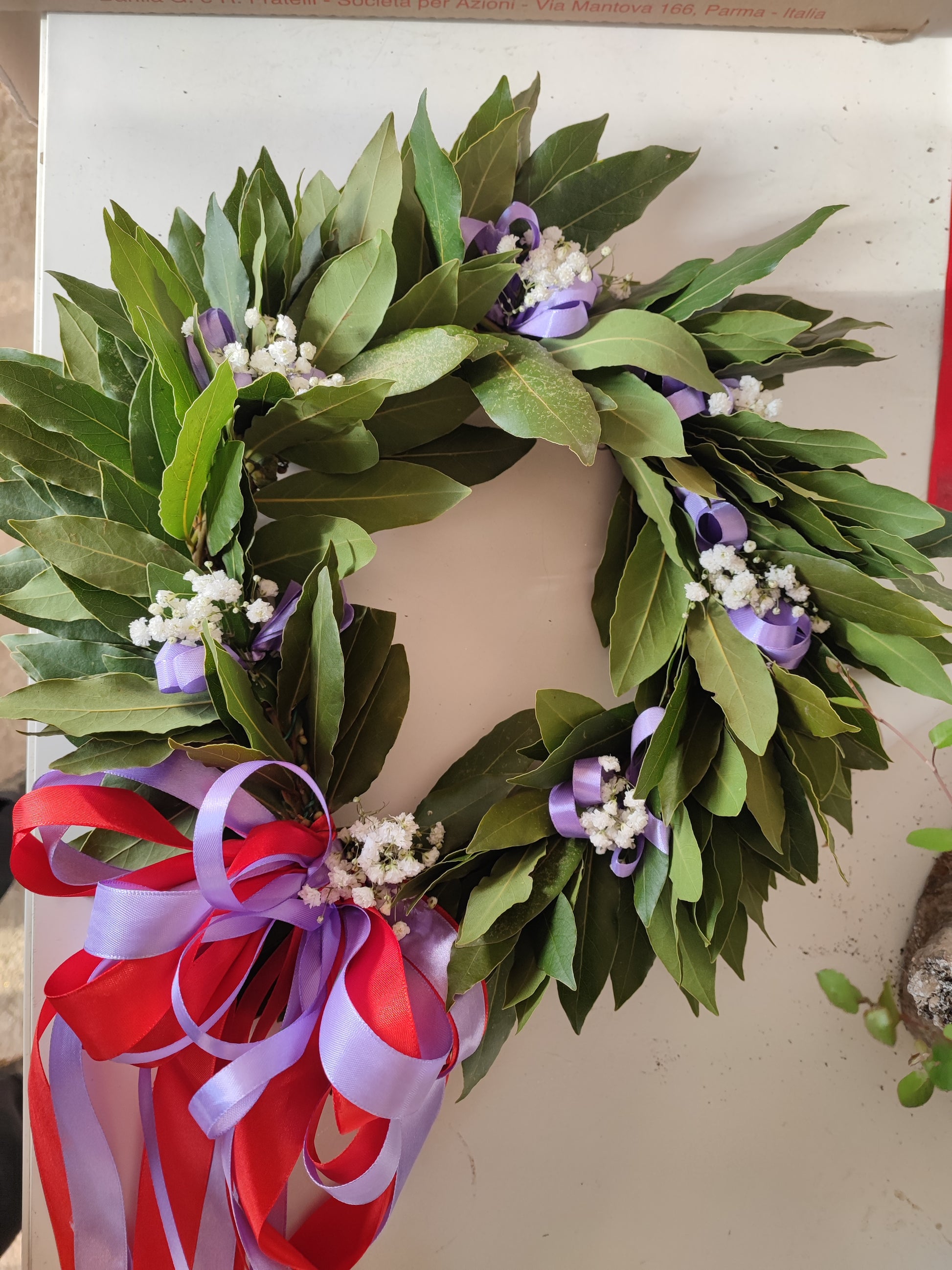 Corona d'alloro con fiocchi e vel di sposa - Valmaflor