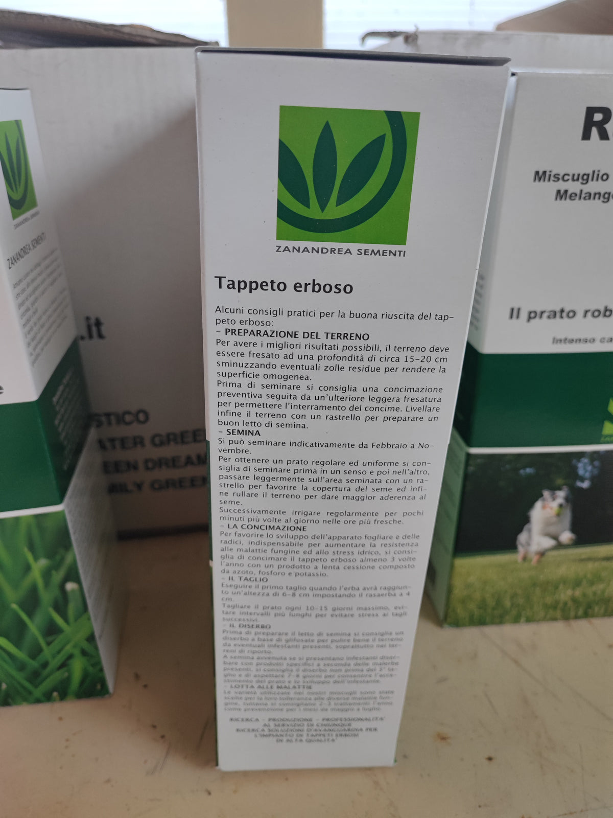Sementi green dream
