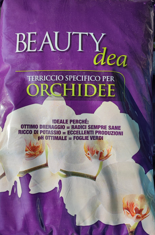 Terriccio per orchidee