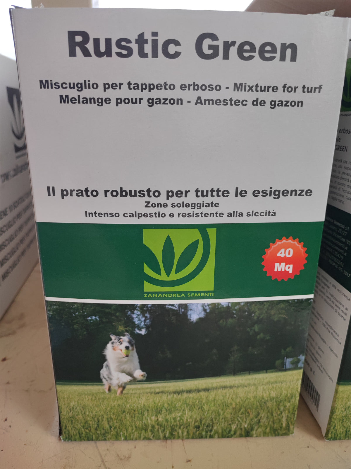 Sementi prato