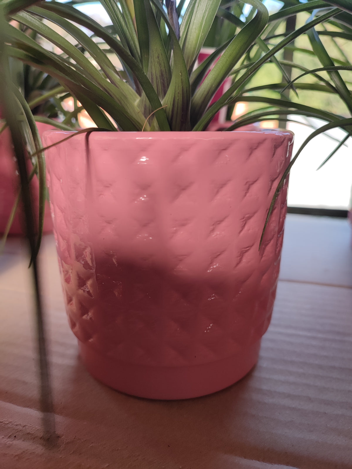 Vaso ceramica