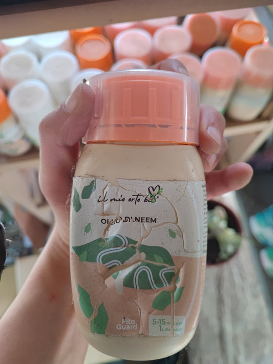 Olio di neem